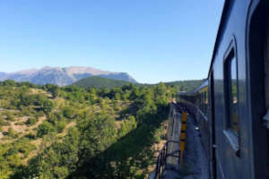 treni storici FS in Italia