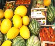 agriturismo-i-cedri-produzione