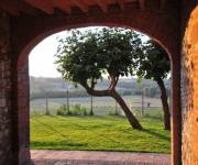 agriturismo_bosco_dei_poveri_scorcio