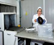 museo_del_cioccolato_fabbrica