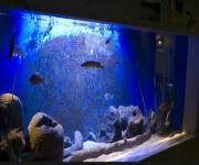 acquario_di_bolsena_vasche