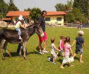 agriturismo_le_cave_del_ceppo_animali