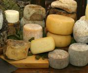 agriturismo_le_cave_del_ceppo_formaggi_tipici