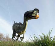 parco_le_pietre_del_drago_oviraptor