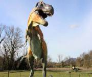 parco_le_pietre_del_drago_t_rex
