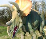 parco_le_pietre_del_drago_triceratopo