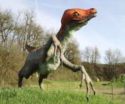 parco_le_pietre_del_drago_velociraptor