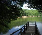 residence_green_garden_vieste_foresta_umbria