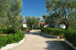 Tesori del Sud, agriturismo residence a Vieste, Gargano, Puglia