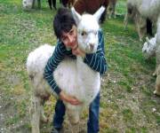 agriturismo_casale_degli_olmi_alpaca