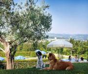 agriturismo_casale_degli_olmi_caiammessi
